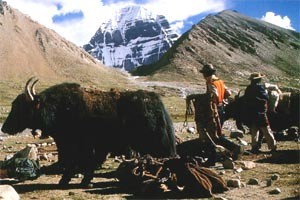 kailash