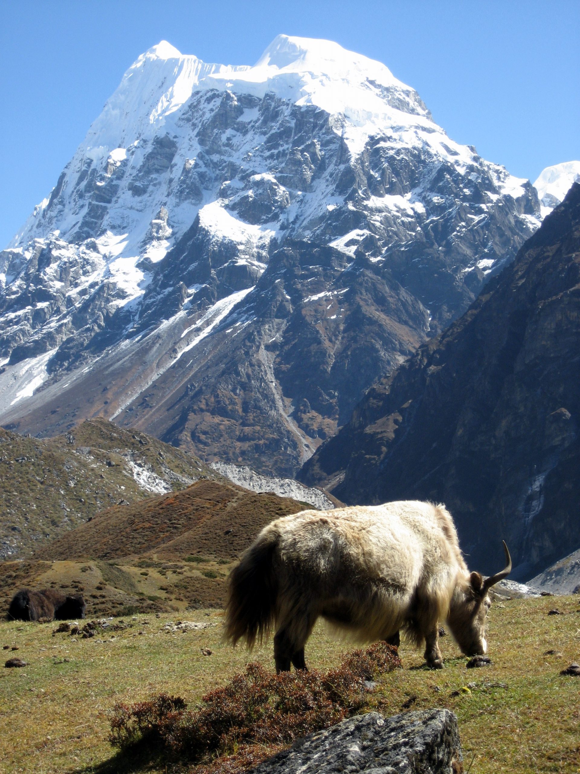 Langshisa Ri (6427m)